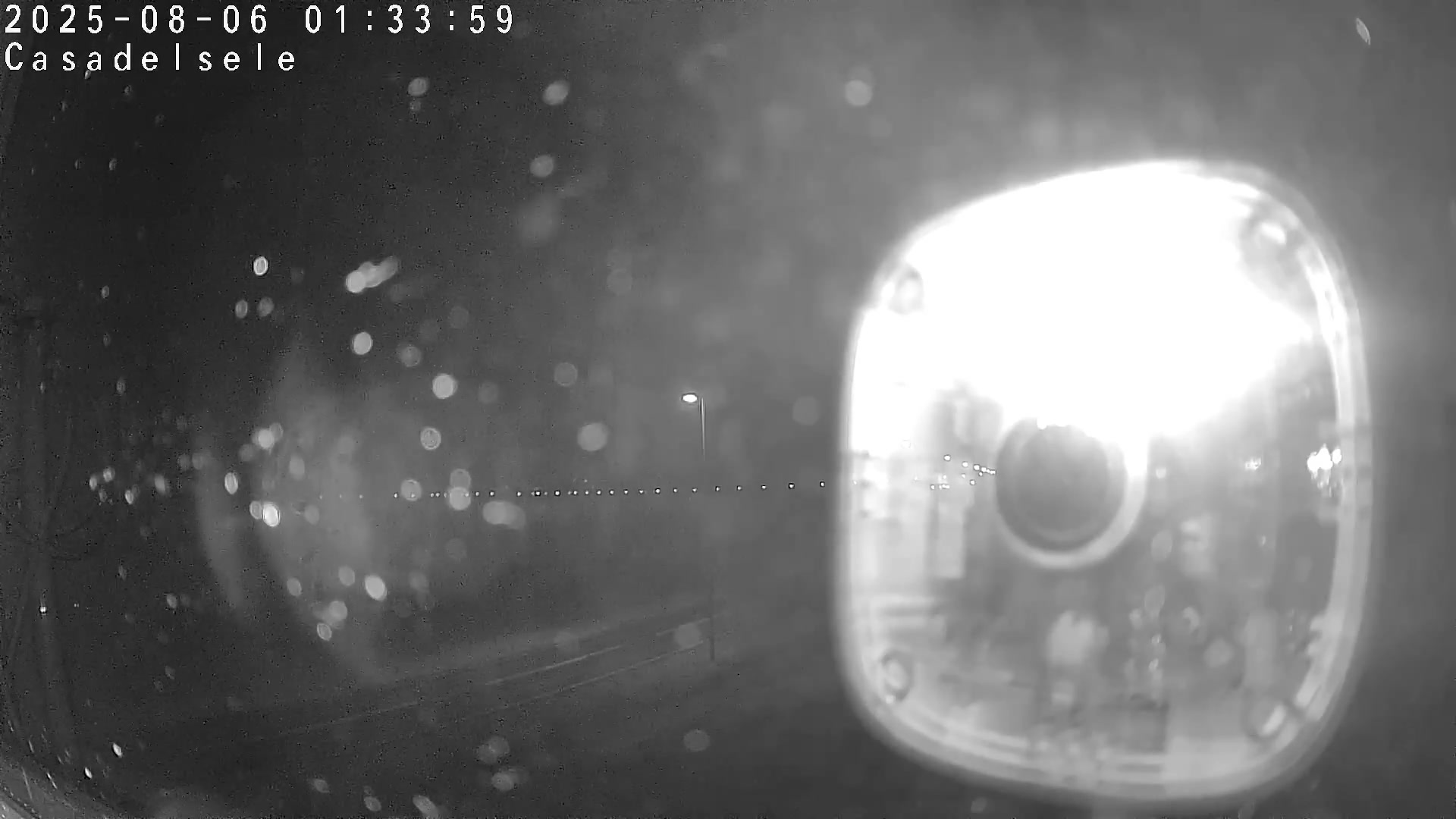 Thumbnail for 2025-08-05