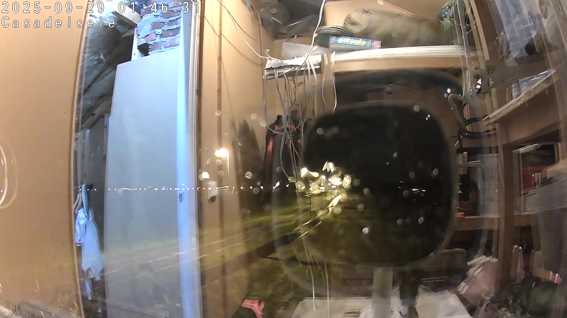 Thumbnail for 2025-09-28